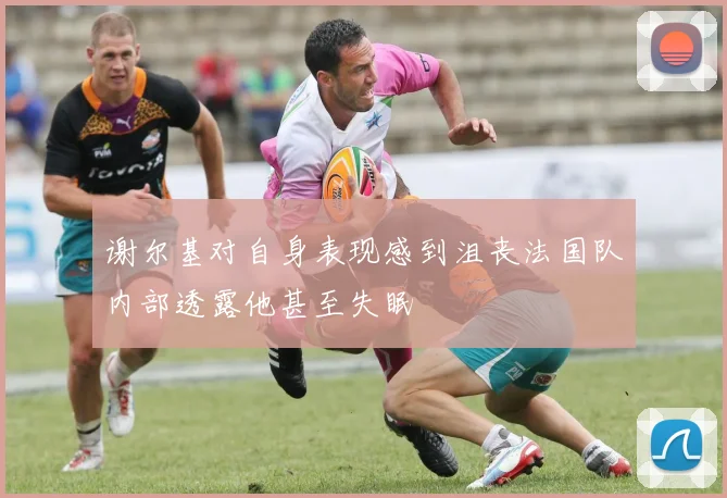谢尔基对自身表现感到沮丧法国队内部透露他甚至失眠