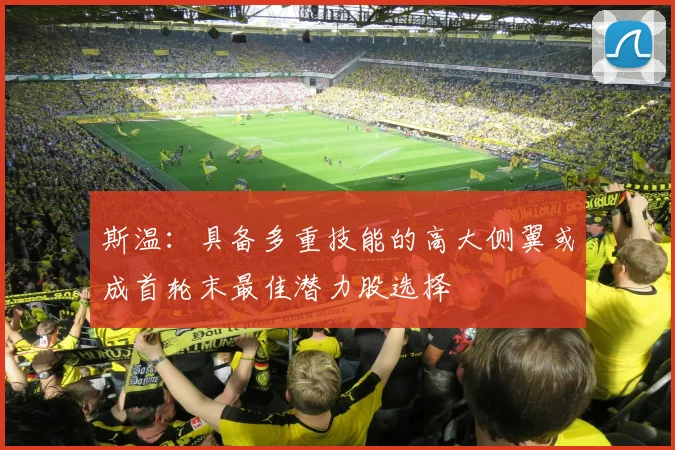 斯温：具备多重技能的高大侧翼或成首轮末最佳潜力股选择