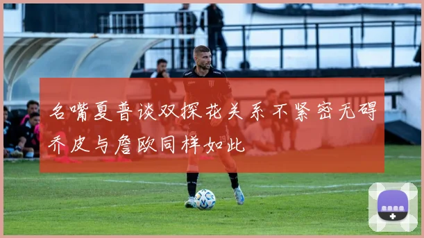 名嘴夏普谈双探花关系不紧密无碍乔皮与詹欧同样如此
